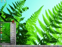 绿蕨电脑桌面主题图1