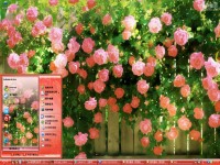 《满架蔷薇一院香》桌面主题图1
