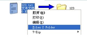 Files2Folder图1