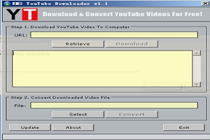 EMS YouTube Downloader图1