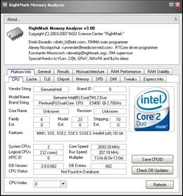 RightMark Memory Analyzer 3.8图1