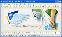 Advanced Batch Converter图1