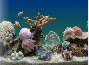 3D热带鱼水族箱屏保图1