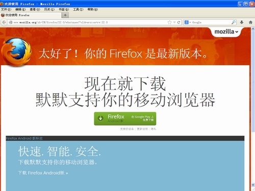 Firefox Portable 火狐便携版31.0截图1